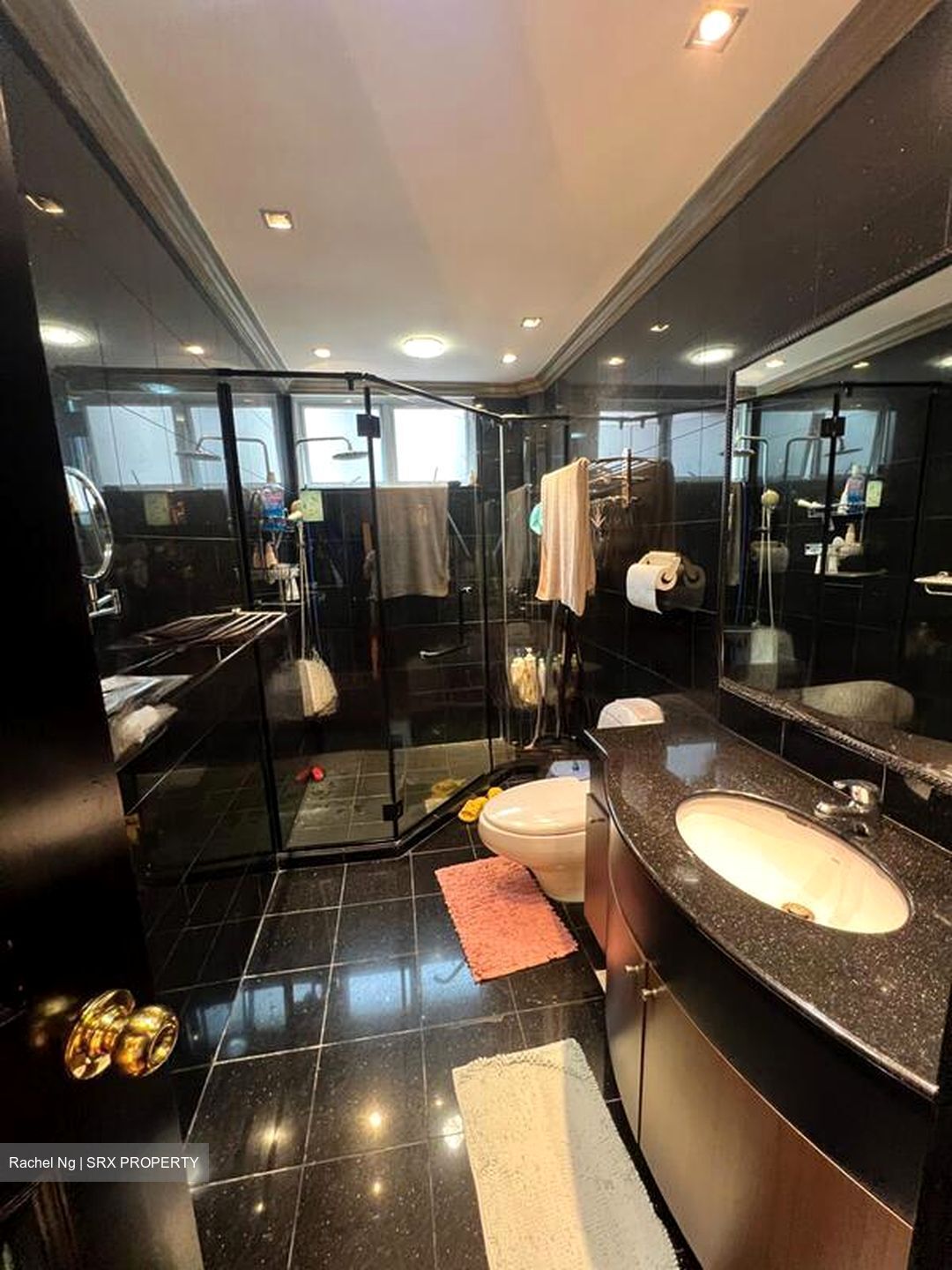 Phoenix Heights (D23), Detached #449951211